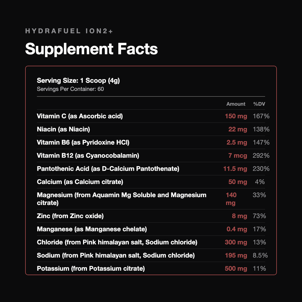 HydraFuel ION2+ | Fruit Punch